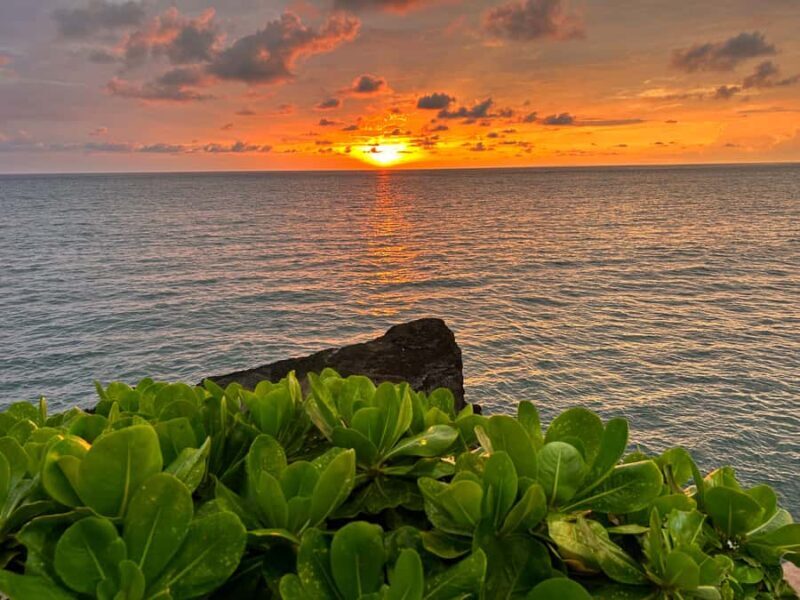 Bali: Jatiluwih Rice Terraces Walking Tour And Tanah Lot - FAQ