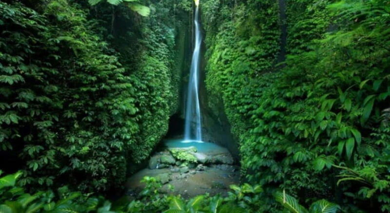 bali-jatiluwih-rice-terraces-water-temple-waterfall-tour