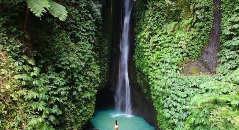 bali-jatiluwih-rice-terraces-water-temple-waterfall-tour