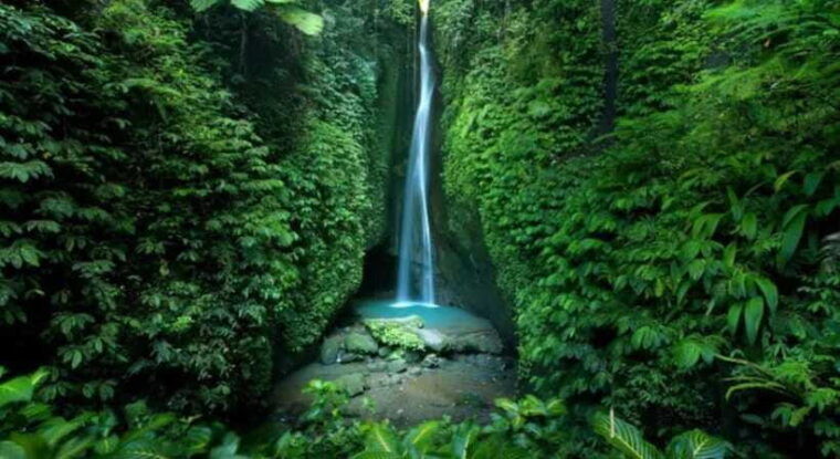 bali-jatiluwih-rice-terraces-water-temple-waterfall-tour