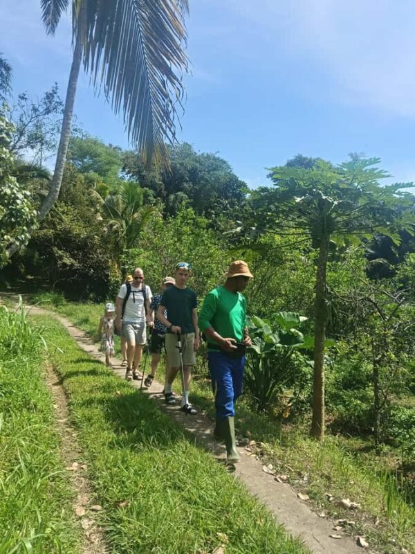 Bali: Jatiluwih Trek via Senganan Village  with local guide - Discovering the Charm of Bali’s Countryside