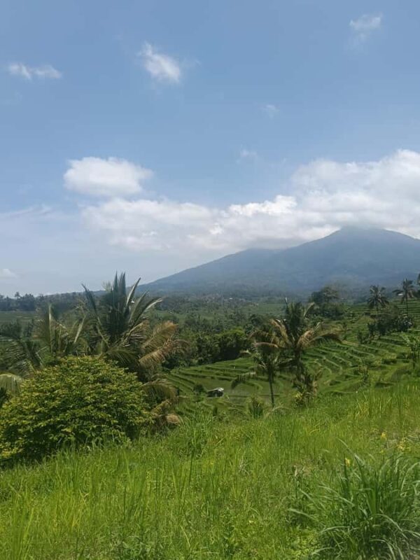 Bali: Jatiluwih Trek via Senganan Village  with local guide - Authentic Experiences You’ll Cherish