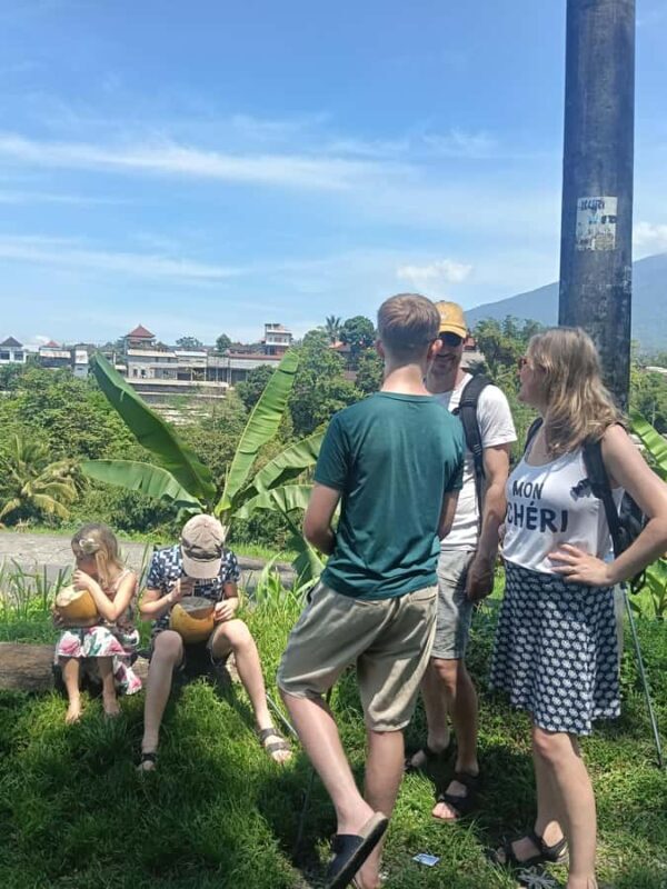 Bali: Jatiluwih Trek via Senganan Village  with local guide - Final Thoughts: Who Will Love This Tour?