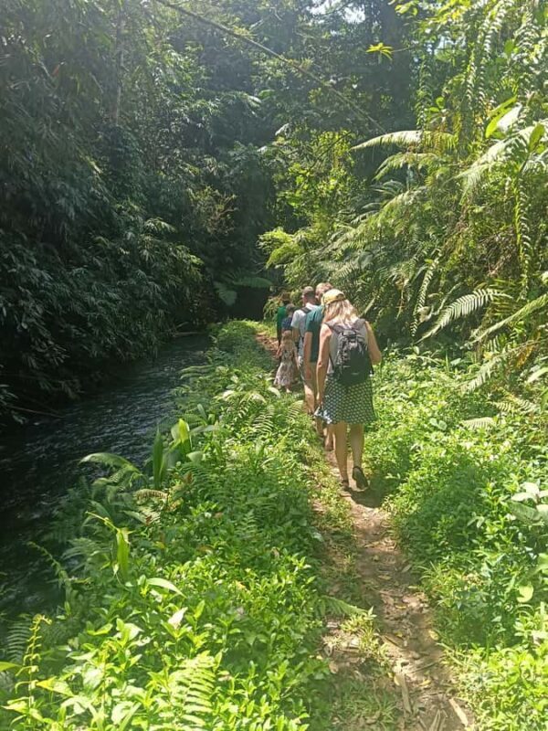 Bali: Jatiluwih Trek via Senganan Village  with local guide - FAQ