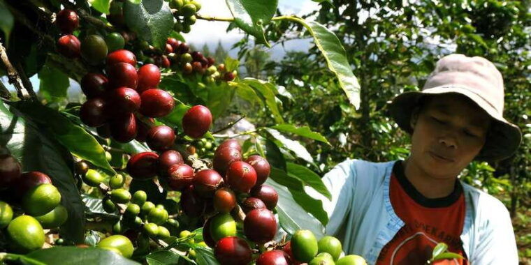 bali-journey-to-the-soul-all-inclusive-tour