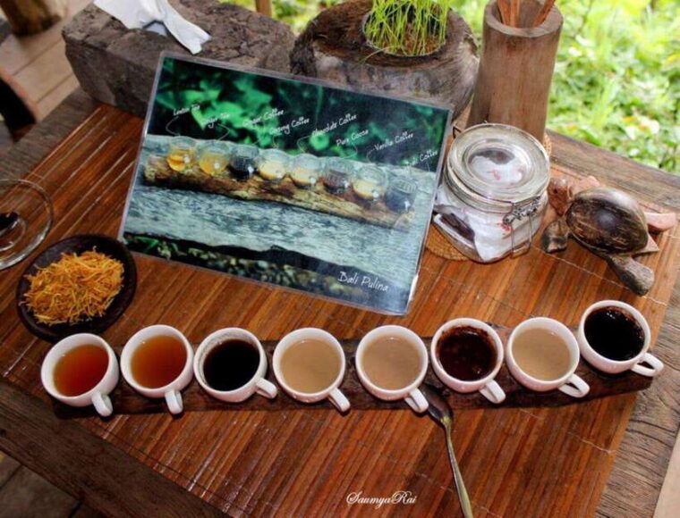 bali-jungle-atv-ride-tegenungan-waterfall