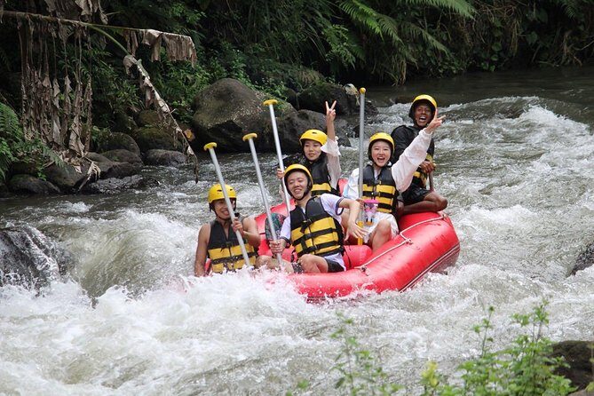 Bali Jungle Swing and White Water Rafting All Inclusive - Who Will Love This Tour?