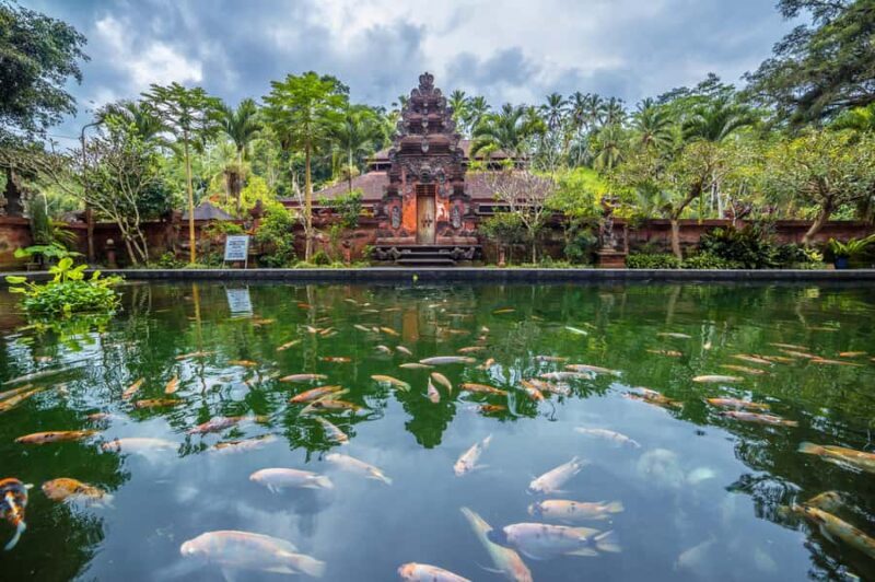 Bali: Jungle Trek, Waterfall Meditation & Water Blessing - Starting with Comfort and Convenience