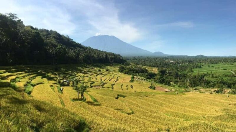 Bali: Kastala Rice Terrace, Tenganan Trekking & Virgin Beach - Key Points