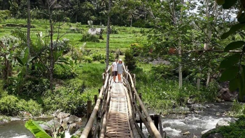 Bali: Kastala Rice Terrace, Tenganan Trekking & Virgin Beach - An In-Depth Look at the Tour Experience
