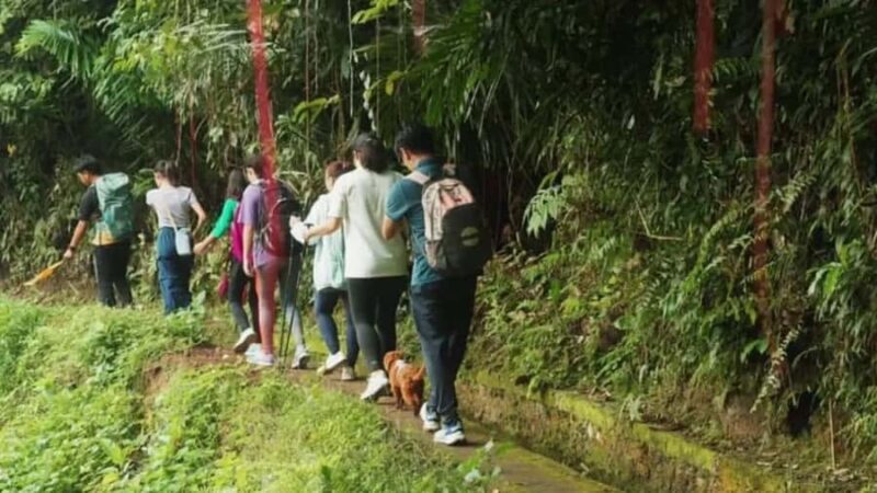 Bali: Kastala Rice Terrace, Tenganan Trekking & Virgin Beach - Final Thoughts