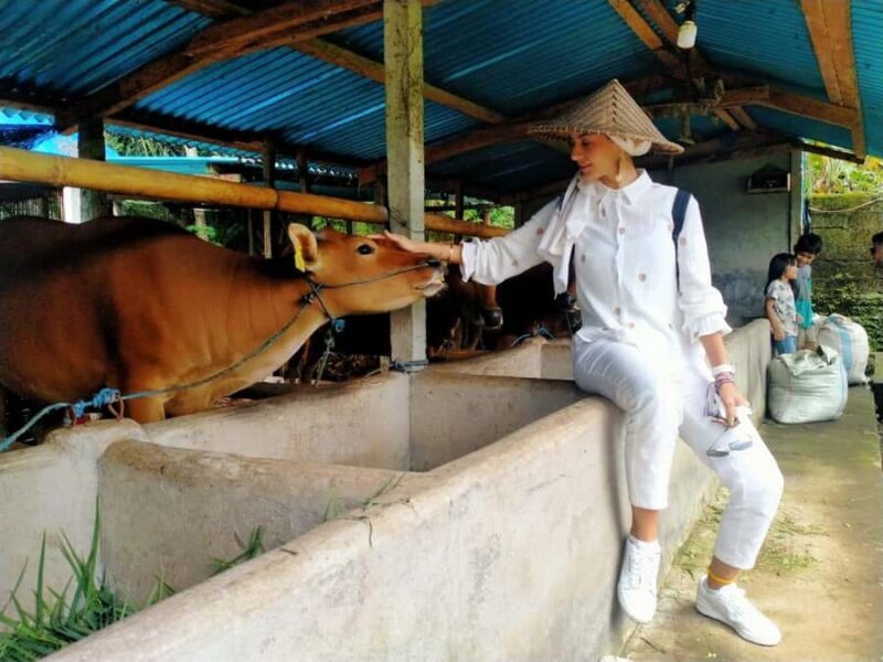 Bali: Kedisan Sustainable Farming and Nature Tour - Key Points