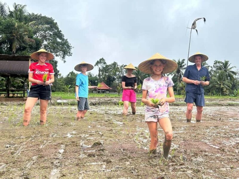 Bali: Kedisan Sustainable Farming and Nature Tour - Final Thoughts: Who Will Love This Tour?