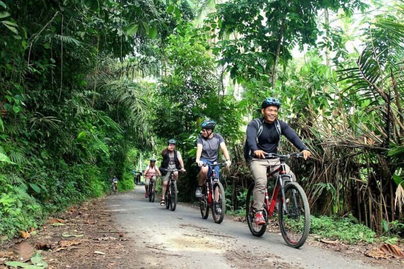 Bali: Kintamani Downhill Bike Tour and Natural Jungle Swim - Cultural Insights and Village Life