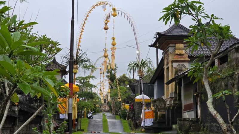 Bali: Kintamani Downhill Bike Tour and Natural Jungle Swim - Practical Details and Considerations