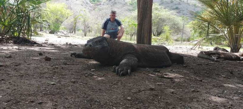bali-komodo-island-guided-day-trip-with-lunch-and-snacks