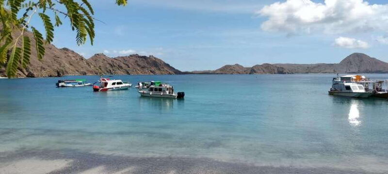 bali-komodo-island-guided-day-trip-with-lunch-and-snacks