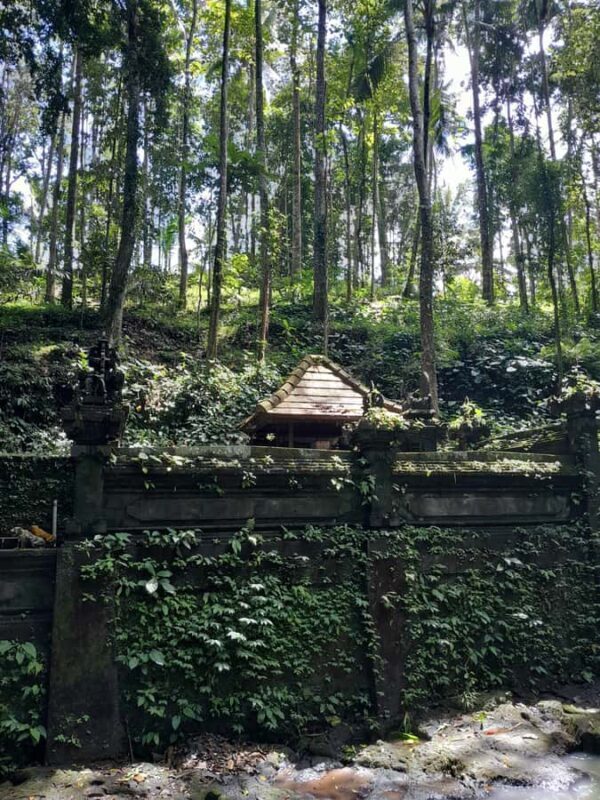 Bali: Legung Luwih Tabanan Village Activities - Exploring Legung Luwih: A Day in the Heart of Tabanan