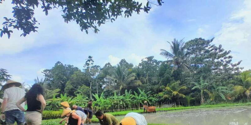 bali-legung-luwih-tabanan-village-activities