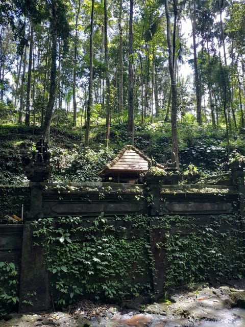 bali-legung-luwih-tabanan-village-activities