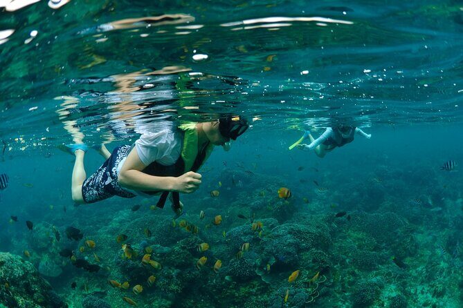 Bali Lembongan Island Beach Club Day Trip - Arrival at Lembongan: Access to the Beach Club