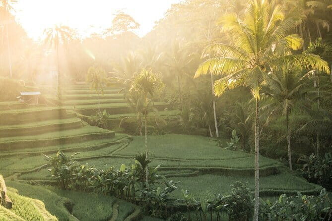 Bali: Lempuyang Temple, Waterfall & Rice Terrace Private Tour - The Journey Begins: Pickup and Drive to Lempuyang Temple  