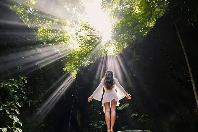 Bali: Lempuyang Temple, Waterfall & Rice Terrace Private Tour - Tirta Gangga Water Garden: Tranquility in a Royal Setting  