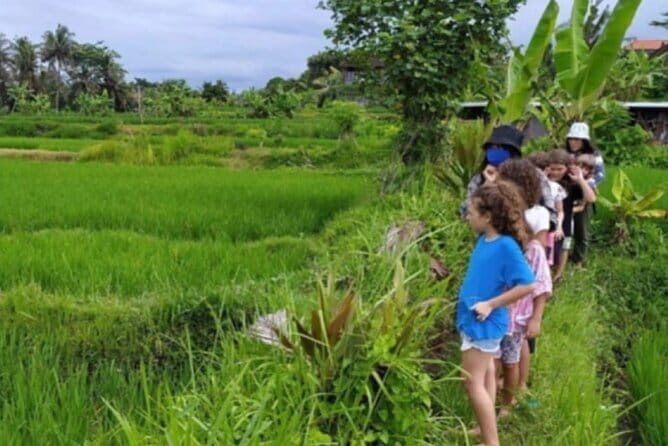 Bali: Lempuyang Temple, Waterfall & Rice Terrace Private Tour - Tegallalang Rice Terrace: Bali’s Iconic View  