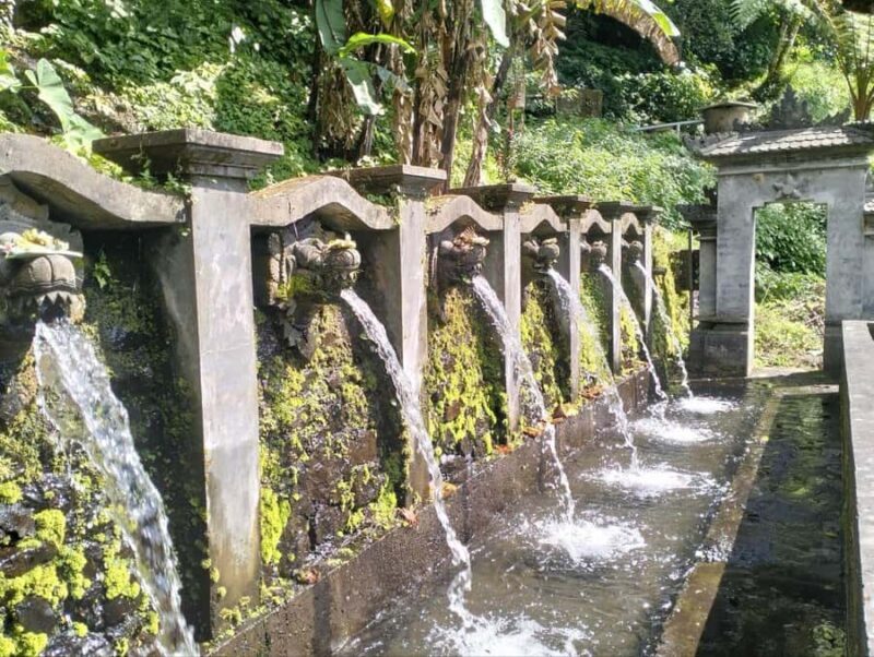 Bali: Lemukih Spiritual Healing Tour with Guide - An Introduction to the Lemukih Spiritual Healing Tour