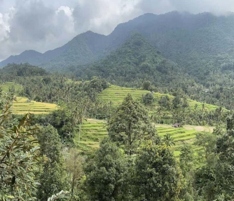 Bali: Lemukih Waterslide, Water Jumping & Waterfalls Tour - Who Should Consider This Tour?