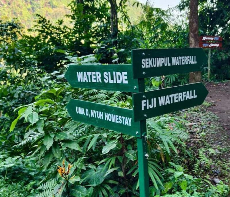 Bali: Lemukih Waterslide, Water Jumping & Waterfalls Tour - Final Thoughts