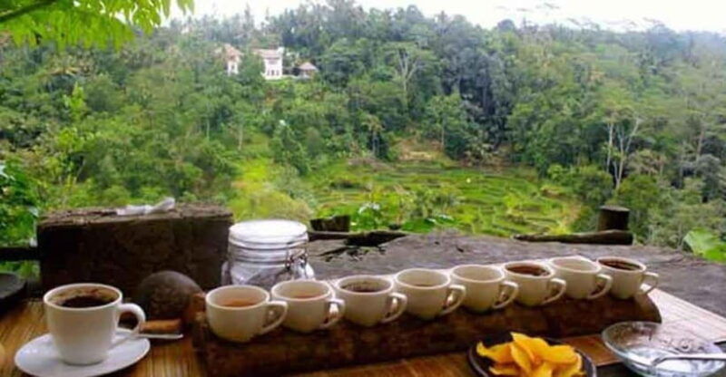 bali-local-village-and-school-tour-with-lunch