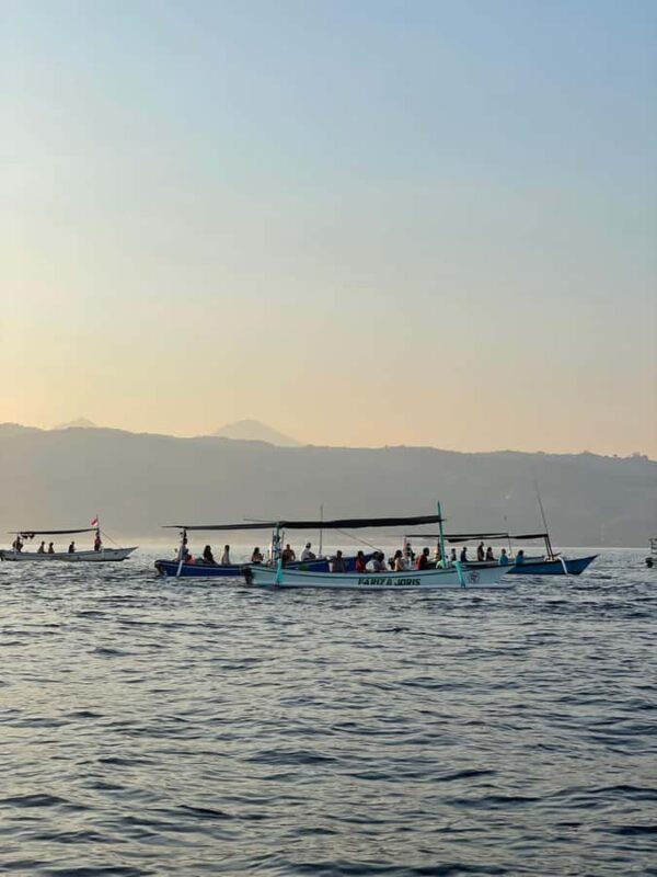 Bali: Lovina Beach Meet Dolphins and Sunrise Catcher - Key Points