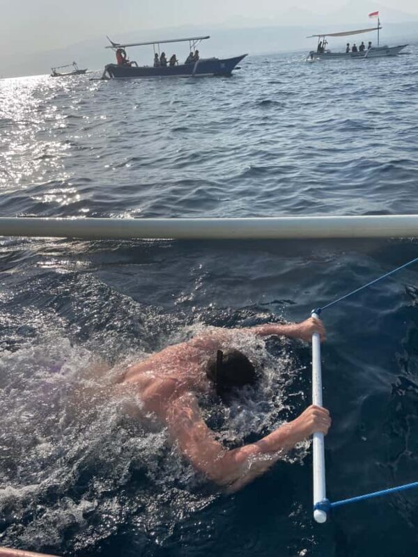 Bali: Lovina Beach Meet Dolphins and Sunrise Catcher - Who Is This Tour Best For?