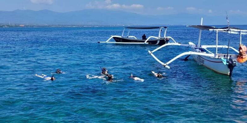 bali-lovina-dolphin-adventure-with-breakfast-and-snorkling