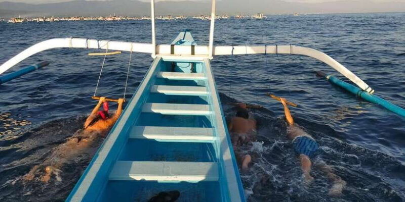 bali-lovina-dolphin-adventure-with-breakfast-and-snorkling