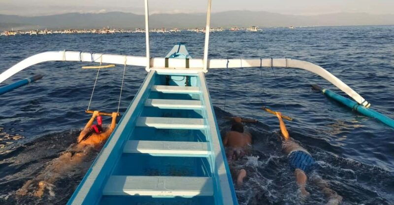 bali-lovina-dolphin-adventure-with-breakfast-and-snorkling