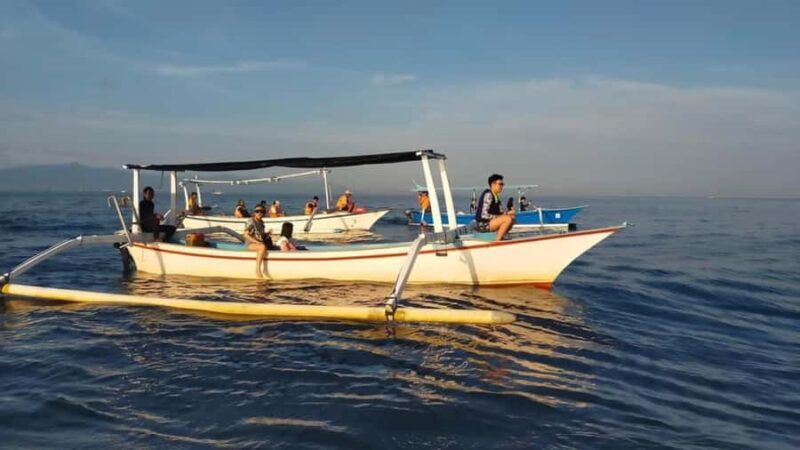Bali: Lovina Dolphin And Snorkeling With Waterfalls Tours - Final Thoughts: Is This Tour for You?