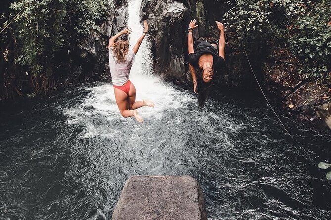 Bali Lovina Dolphin Tour with Sunrice, Snorkeling and Waterfall - An In-Depth Look at the Bali Lovina Dolphin Tour