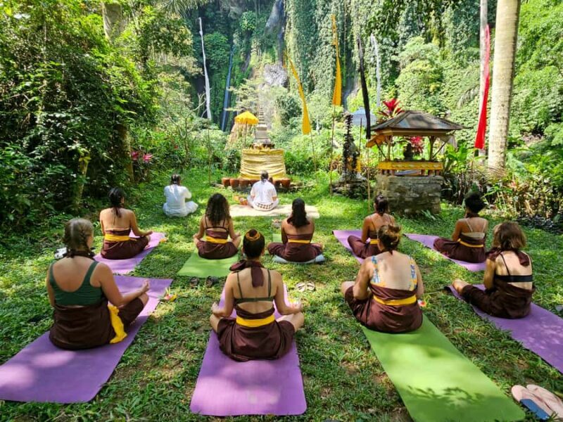 Bali (Lovina): Holy Waterfall Purification Ceremony - The Value and Why It’s Worth It