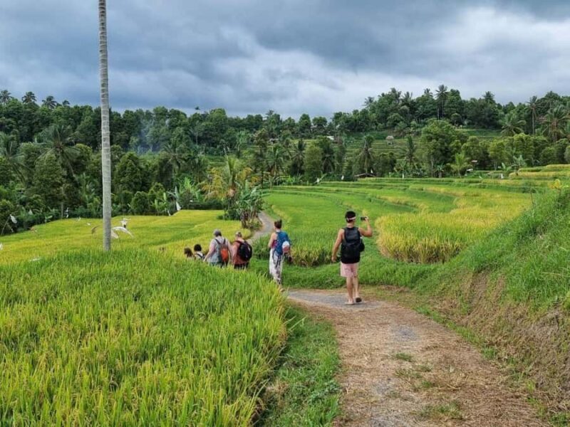 Bali (Lovina): Holy Waterfall Purification Ceremony - The Sum Up