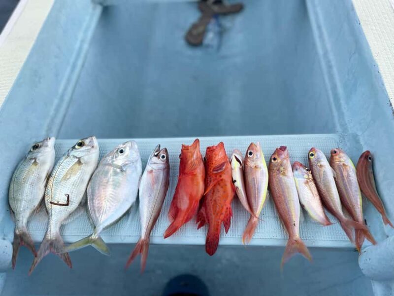 Bali/Lovina: Private Fishing Tour with Snorkeling Option - Key Points