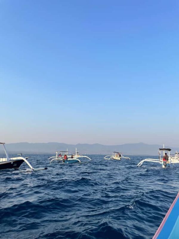 Bali: Lovina Private Meet Dolphins & Snorkeling Coral Reefs - FAQ