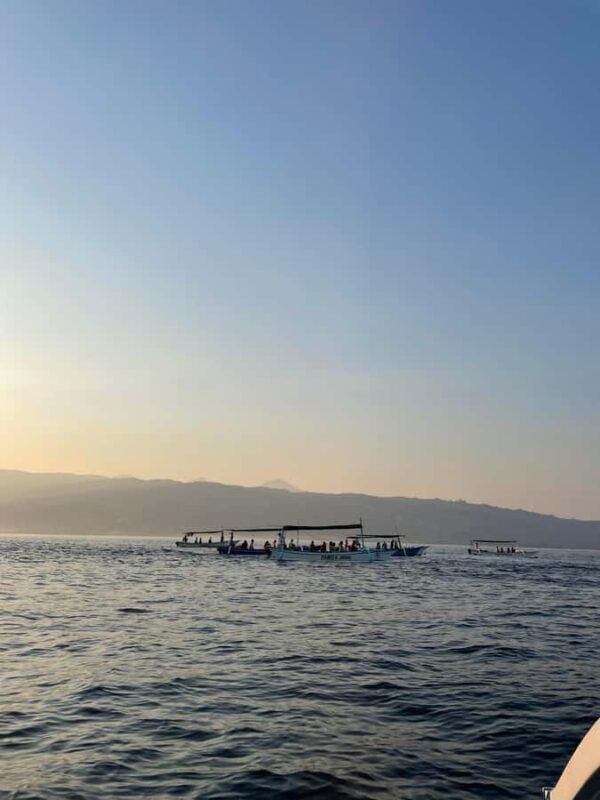 Bali: Lovina Private Meet Dolphins & Snorkeling Coral Reefs - Final Verdict