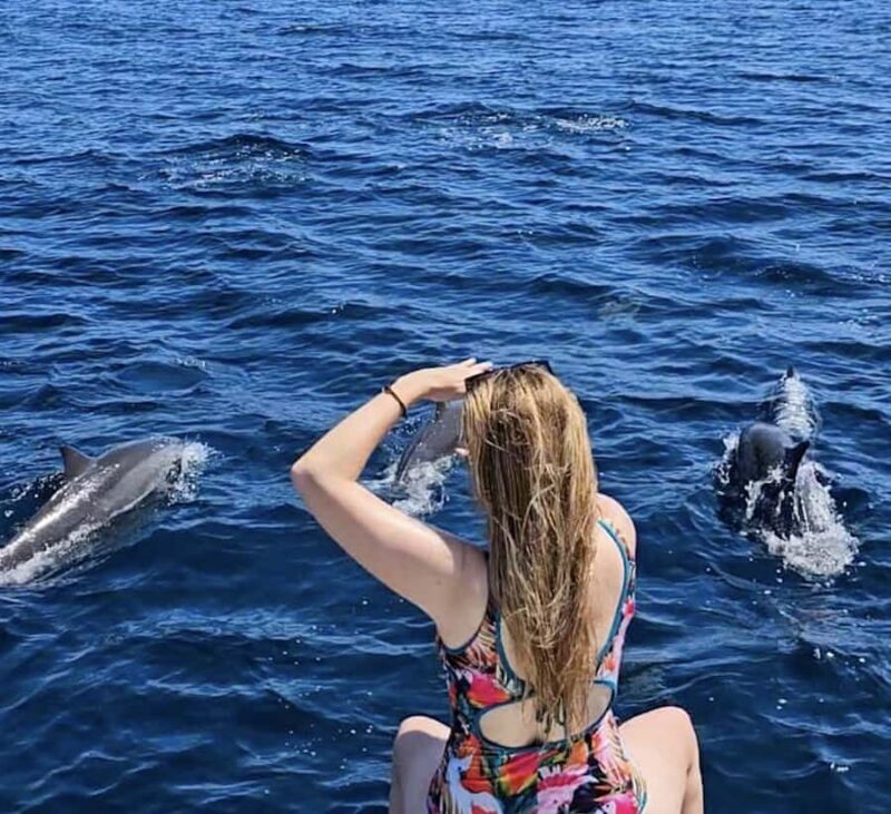 Bali/Lovina: Private or Shared Sunrise Dolphin Snorkel Tour - The Real Deal: What Travelers Say