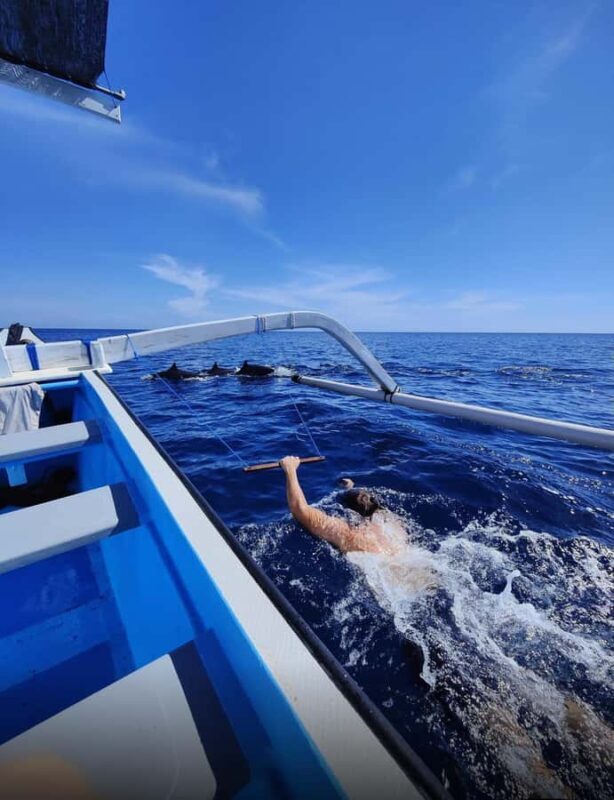 Bali/Lovina: Sunrise Dolphin Snorkel & Waterfall Cliff Jump - Why This Tour Offers Great Value