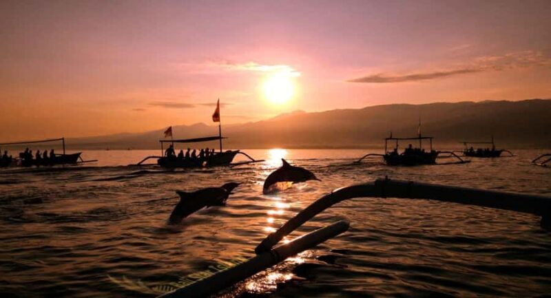 Bali: Lovina Swimming With Dolphine & Snorkeling Tour - The Experience in Detail