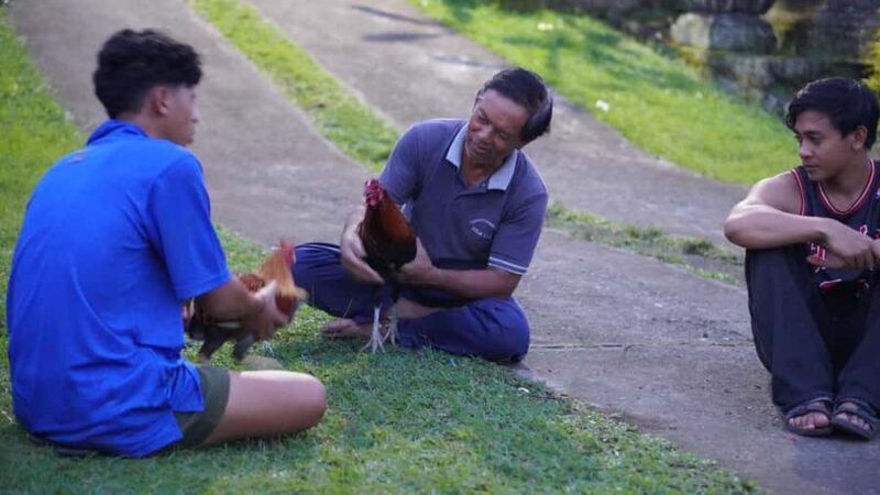 Bali: Magical Night Firefly Tour with Culture Insight - Who Should Consider This Tour?