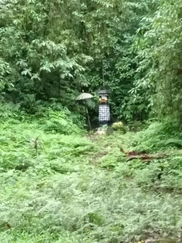 Bali: Mayong Village Trekking Tour - An In-Depth Look at the Mayong Village Trekking Experience