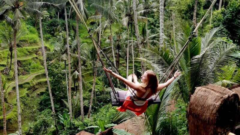 bali-monkey-forest-rice-terrace-tirta-empul